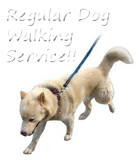 dogwalking services